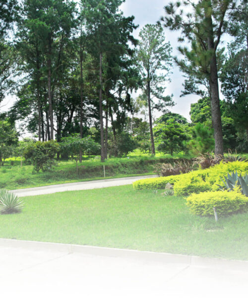 Espacios verdes y jardines