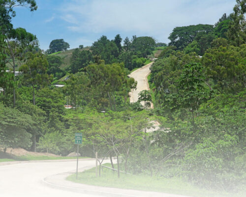 Espacios llenos de naturaleza y modernidad