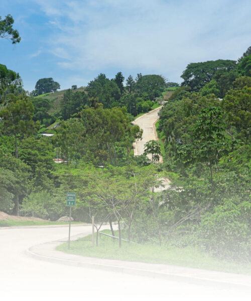 Espacios llenos de naturaleza y modernidad